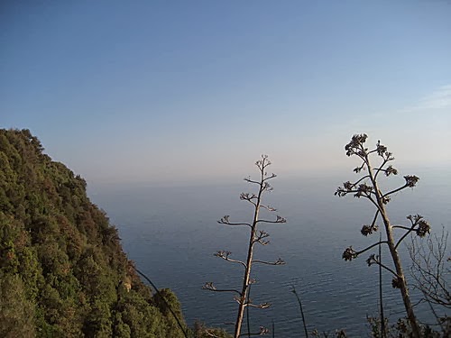 呼吸靈感之水~義大利五鄕地