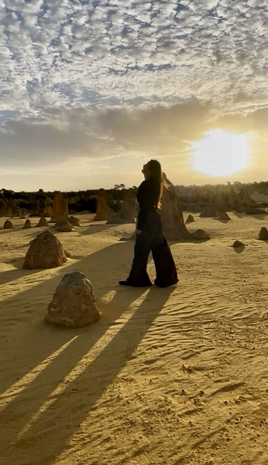 Veronica in Pinnacles